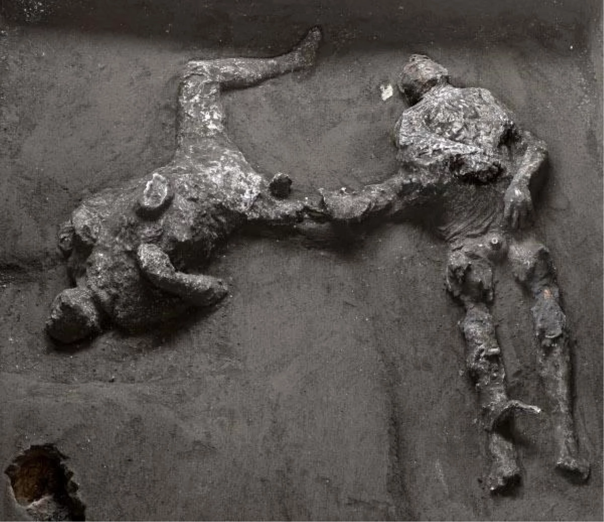 Pompeii\'deki kazıda efendi ve kölesinin \'neredeyse mükemmel\' korunmuş kalıntıları bulundu