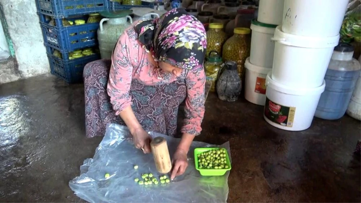 Okuyan çocuğu ve engelli eşi için zeytincilik işine girdi, şimdi yılda 6 ton zeytin satıyor