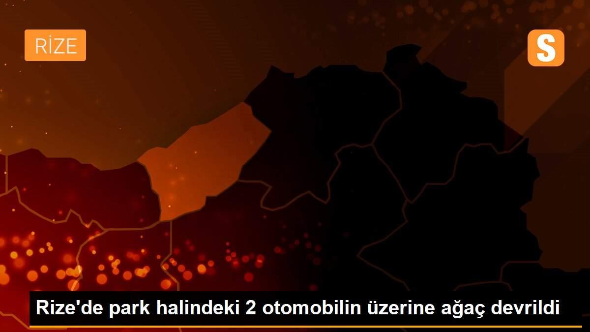 Rize\'de park halindeki 2 otomobilin üzerine ağaç devrildi