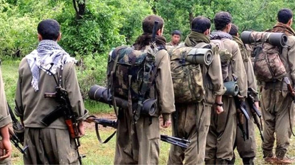 Terör örgütü PKK\'da çözülme hızlandı! 4 terörist ikna yoluyla güvenlik güçlerine teslim oldu