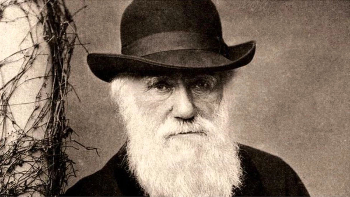 Charles Darwin: Doğa bilimcinin milyonlarca dolar değerinde iki defteri 20 yıldır kayıp, Cambridge Üniversitesi \'Muhtemelen çalındılar\' diyor