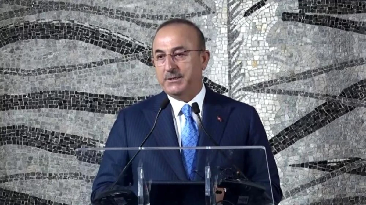 Dişişleri Bakanı Çavuşoğlu: "Normalleşirse burada en çok Ermenistan ve Ermenistan halkı kazanacak"