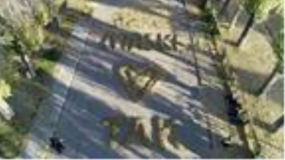 Son dakika! Temizlik işçilerinden dökülen yapraklarla kalp şeklinde, \'maske tak\' uyarısı