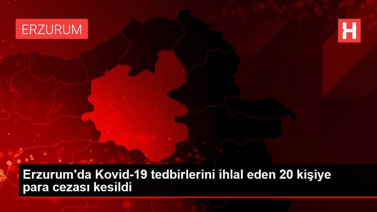 Erzurum'da Kovid-19 tedbirlerini ihlal eden 20 kişiye para cezası kesildi