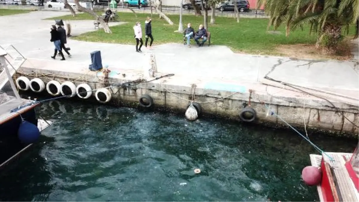 (Havadan fotoğraflarla) İstanbul Boğazı\'nı denizanaları bastı