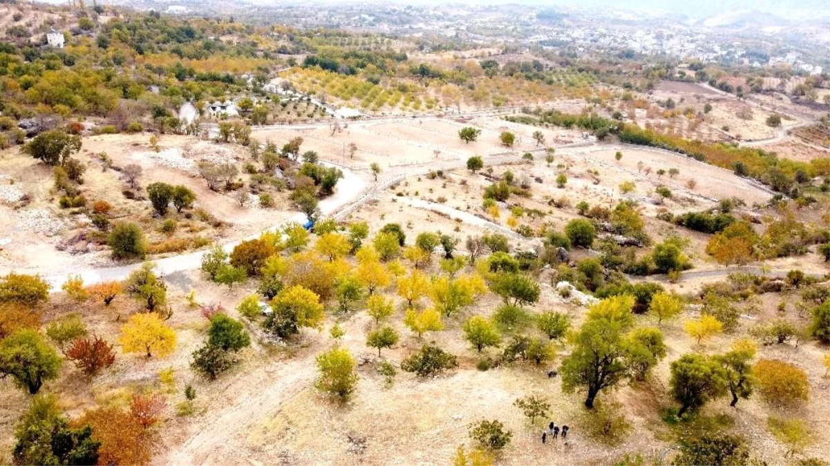 Tut\'ta yayla evleri için ayrılan parsellerde talep patlaması yaşanıyor