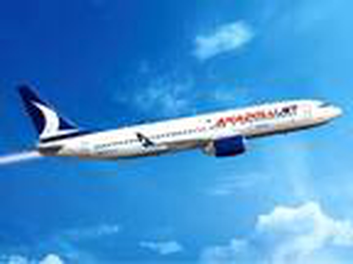 Anadolujet\'ten yurt içi uçuşlarda kış kampanyası