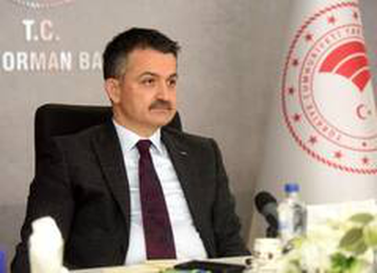 Bakan Pakdemirli: 826 kadrolu işçi alımı yapılacak