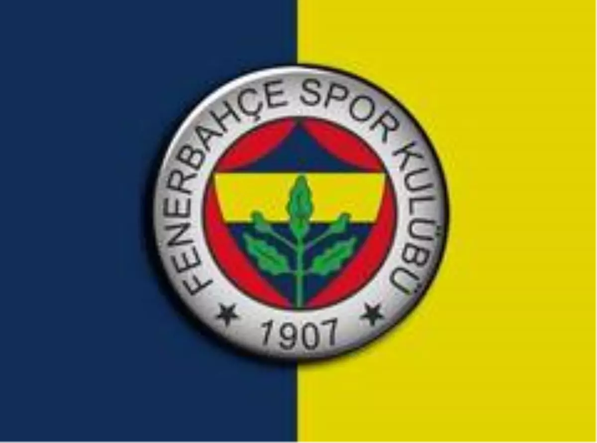 Fenerbahçe\'nin yeni transferi sakatlandı!