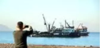 Hamsi bolluğu, fiyatlara yansımaya başladı