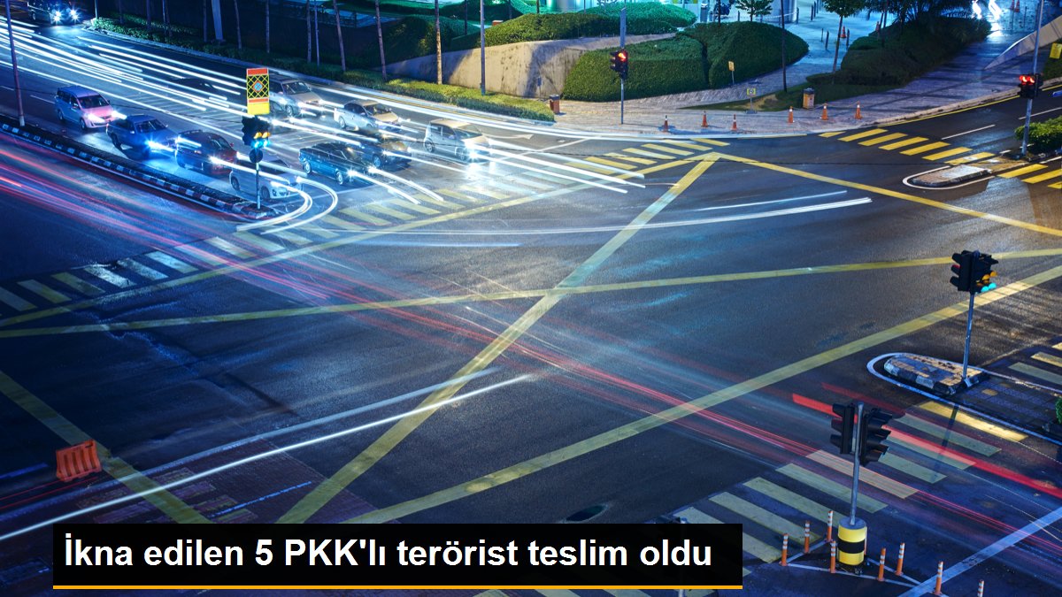 İkna edilen 5 PKK\'lı terörist teslim oldu