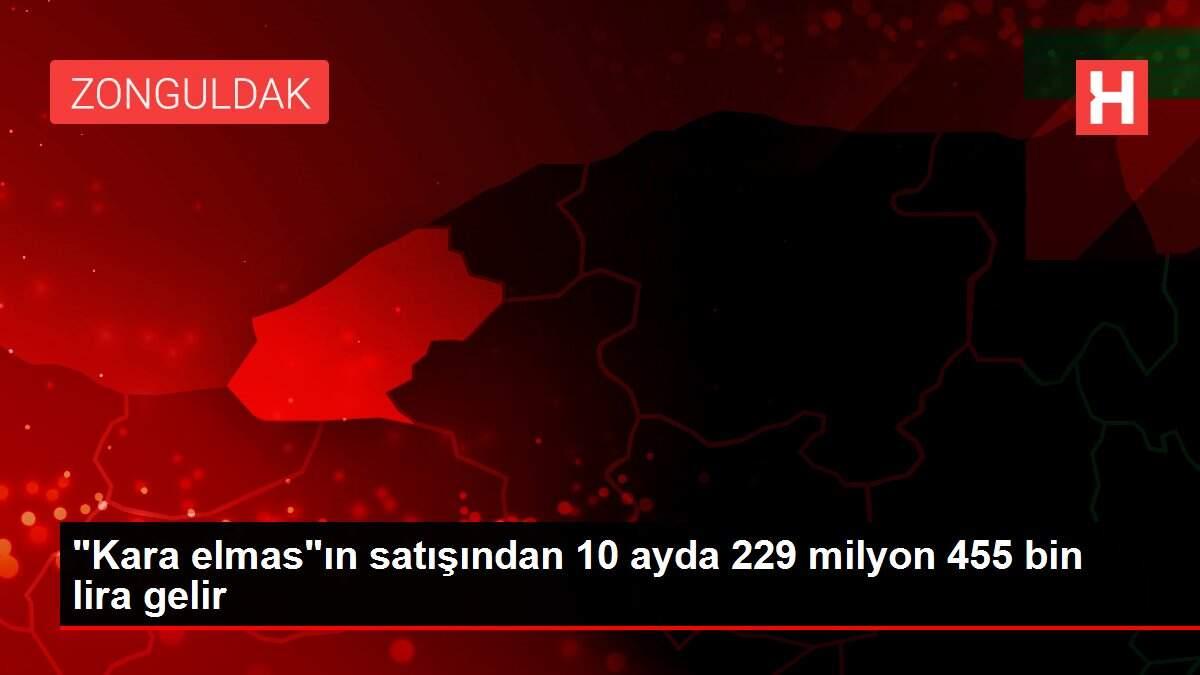 'Kara elmas'ın satışından 10 ayda 229 milyon 455 bin lira gelir