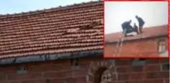 Kazada aracından çatıya fırlayan sürücünün arkadaşı konuştu: Şaşırdık, anlam veremedik