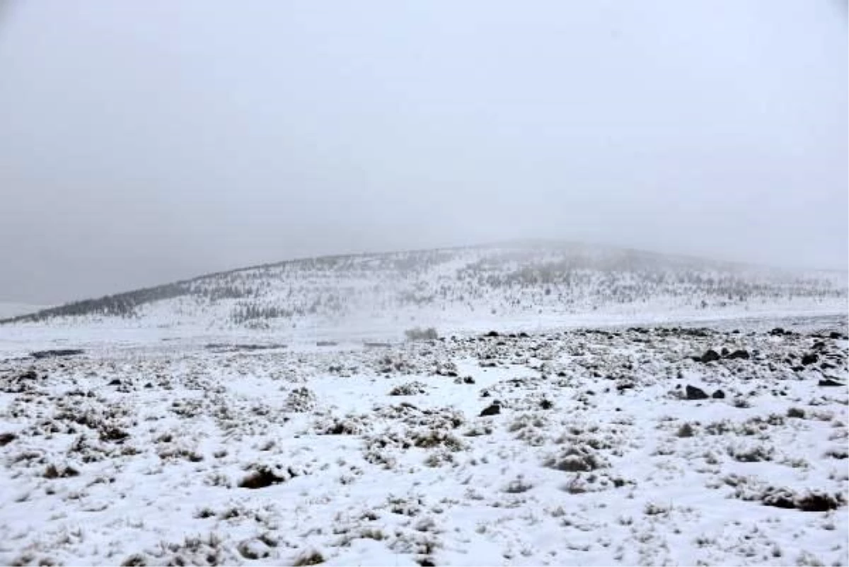 Siverek\'te kar yağışının ardından Karacadağ beyaza büründü