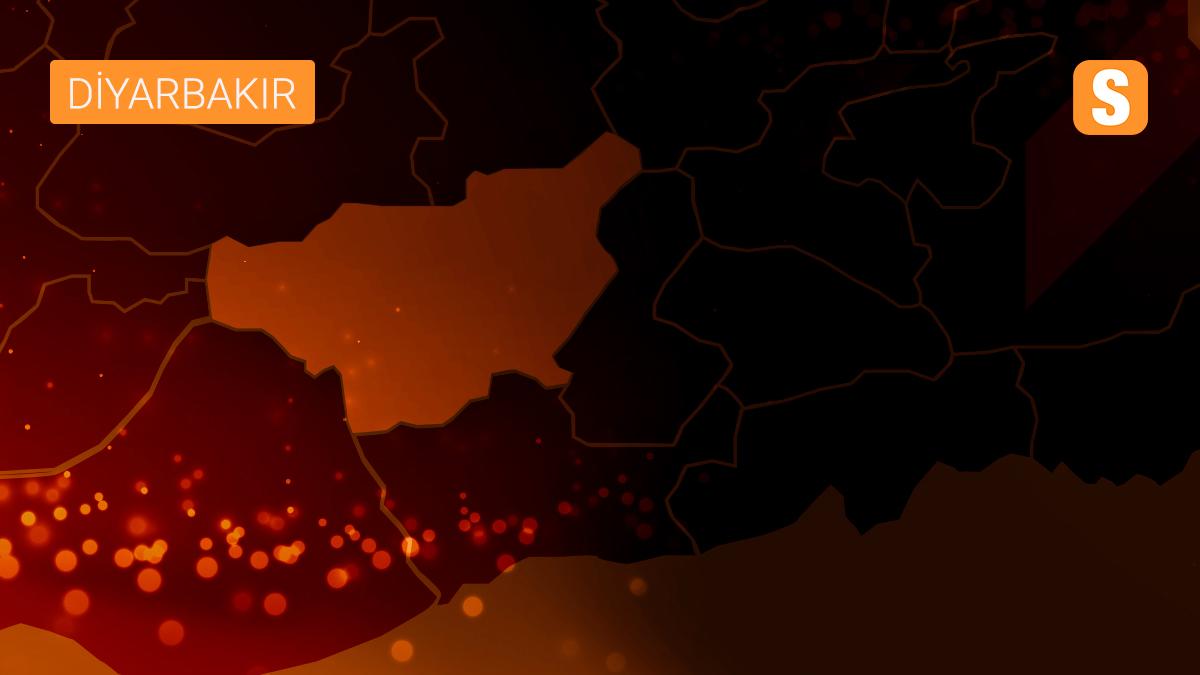 Diyarbakır\'da PKK operasyonu: 8 gözaltı