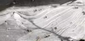 Kars Çayı kısmen buz tuttu