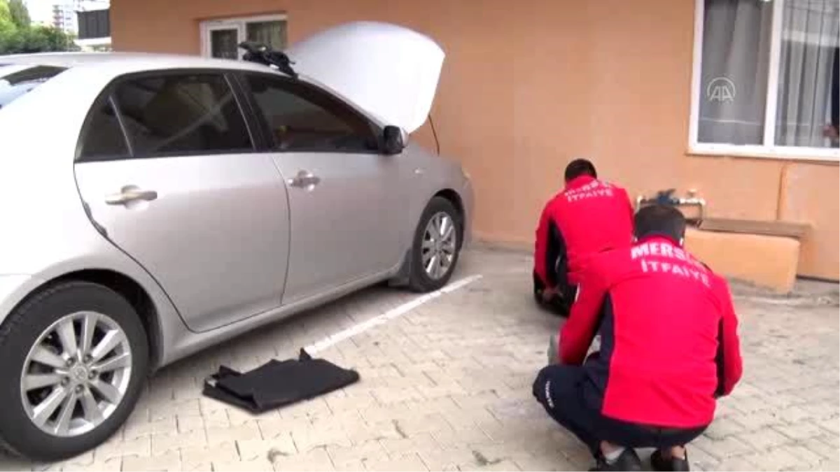 Art arda 4 aracın motor bölümüne giren kedi yavrusu kurtarıldı