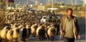 Göçerlerin zorlu dönüş yolculuğu sürüyor