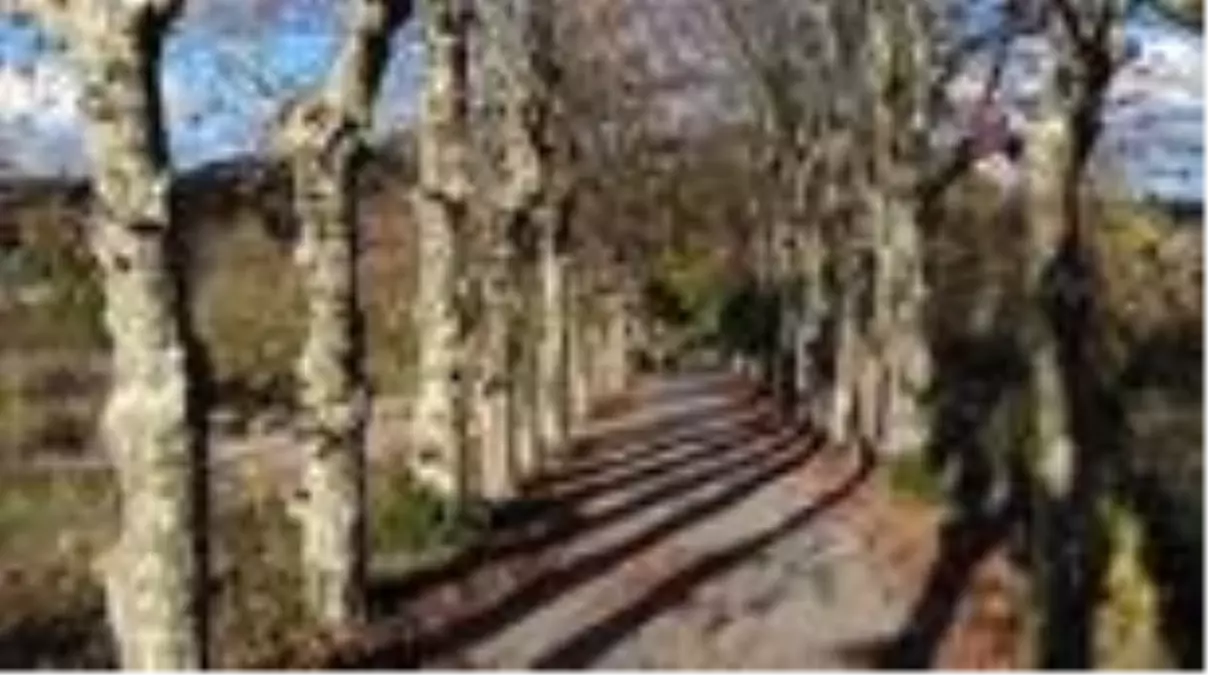 İstanbul\'da \'kartpostallık sonbahar\' mest etti