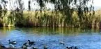 Muğla'da sıcak havayı fırsat bilenler plajları doldurdu