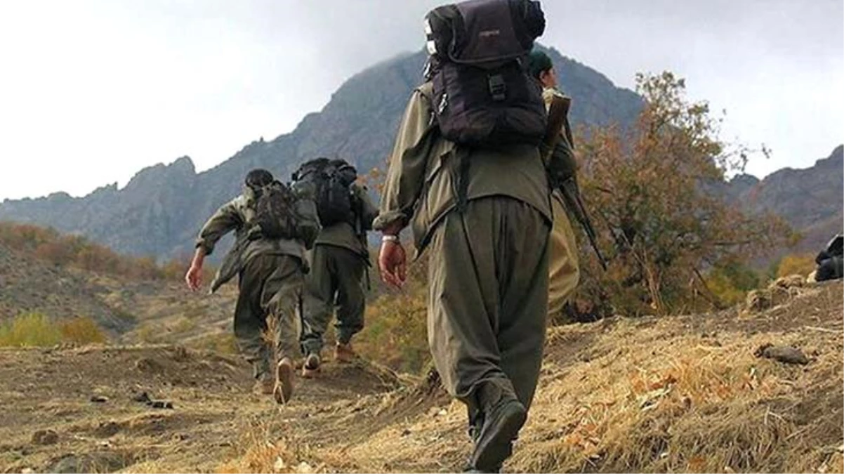 Bölücü terör örgütü PKK\'da 20 yıldır faaliyet gösteren terörist, ikna yoluyla teslim oldu