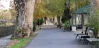 Doğu Marmara ve Batı Karadeniz'de cadde ve sokaklarda hareketlilik başladı