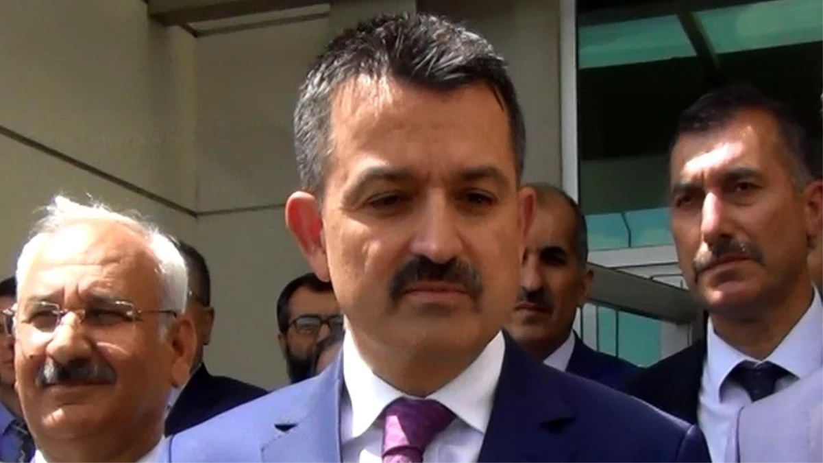 Bakan Pakdemirli: "Ormancılıkta daha çok yatırımı Ege illerine sağlamaya devam edeceğiz"