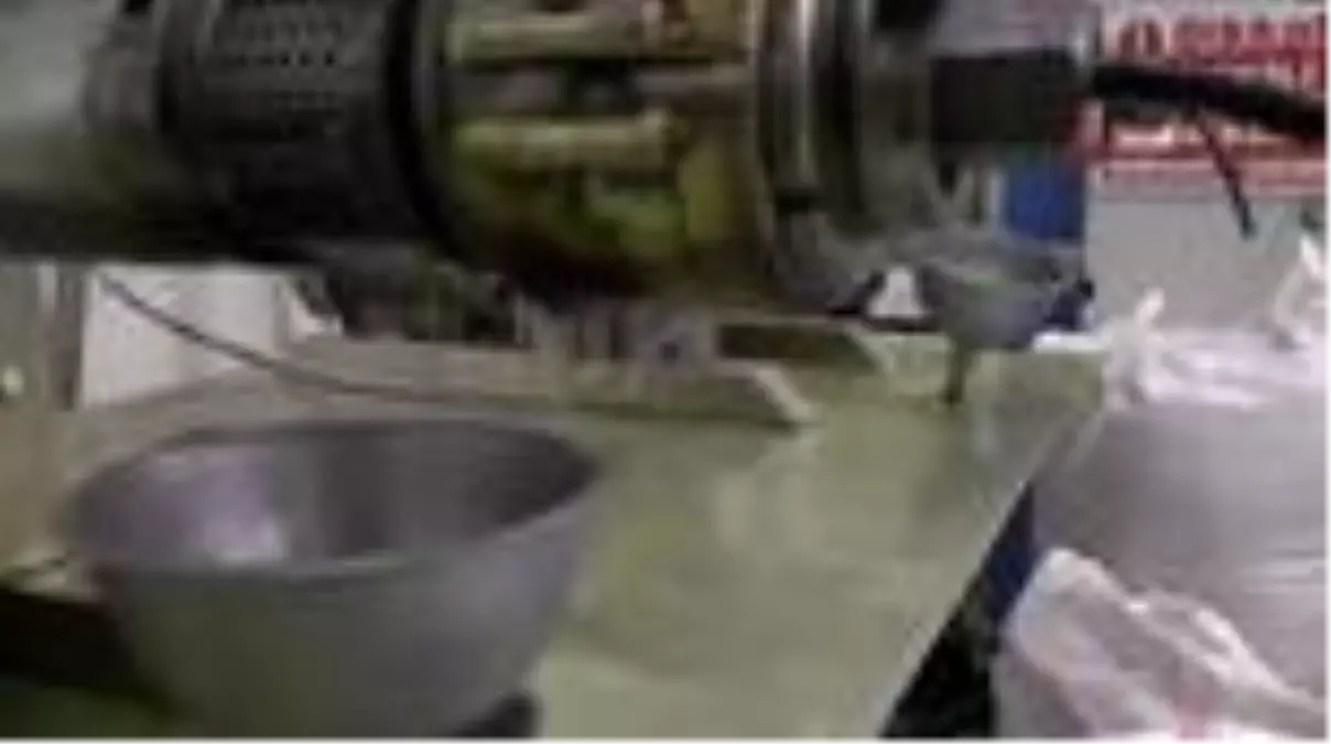 Bodrumlu iş adamı yaptığı organik yemlerle tavukları eski genlerine kavuşturmayı hedefliyor