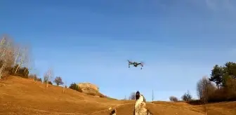 Çoban köpeği, dronu havada parçaladı