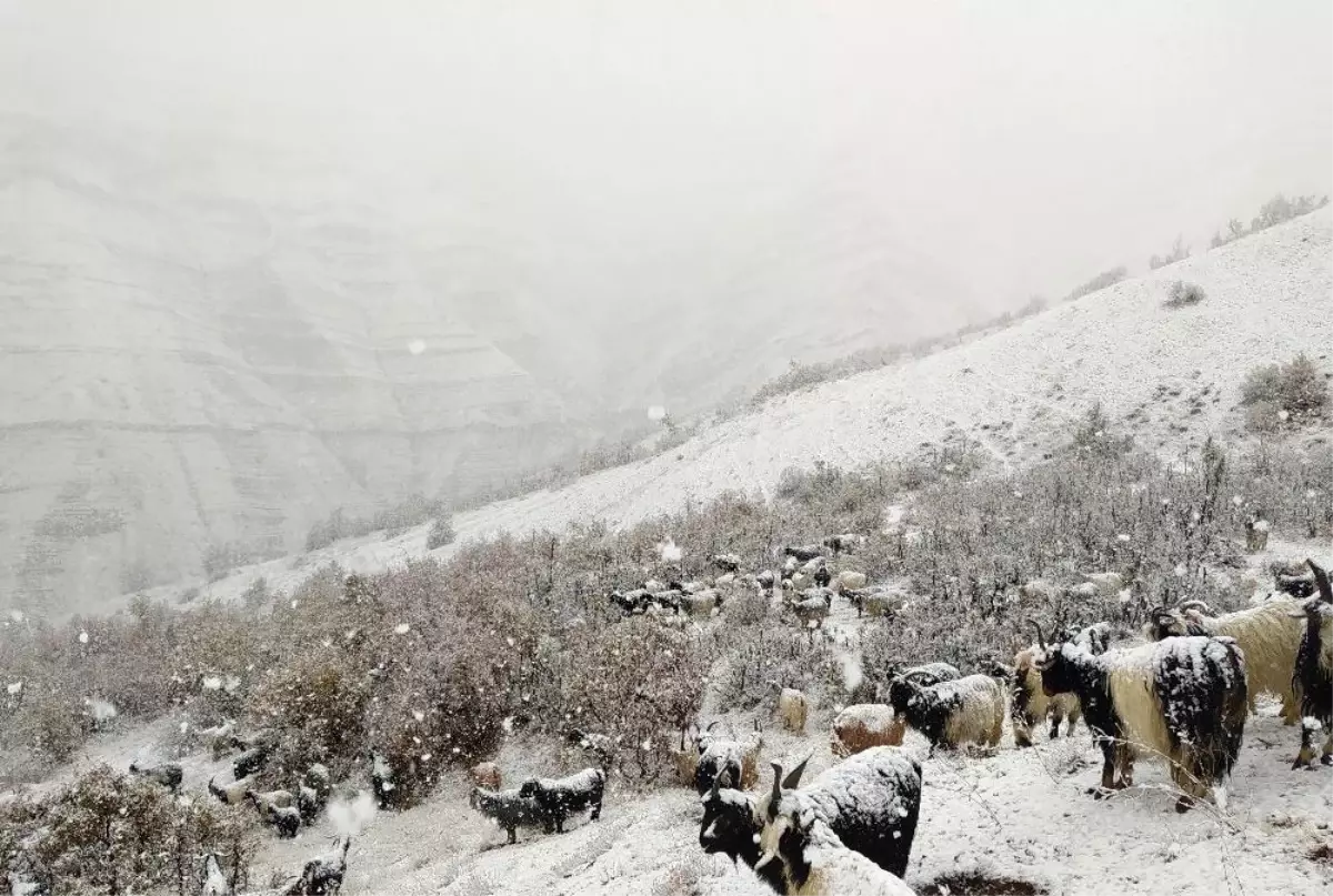 Kar yağdı dağda mahsur kaldılar