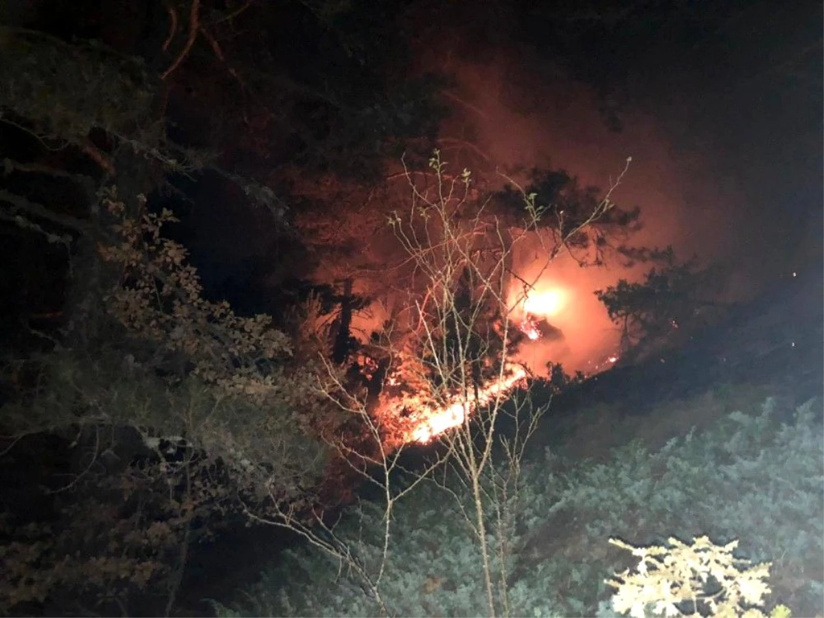 Son dakika gündem: KASTAMONU - Araç\'ta orman yangını (2)