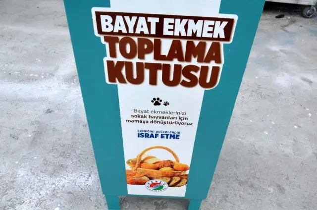 Kepez'de bayat ekmekler sokak hayvanlarına mama olacak