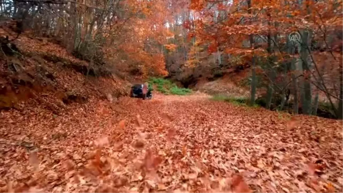 Uludağ "hazan mevsimi"nin son demlerinde bir başka güzel