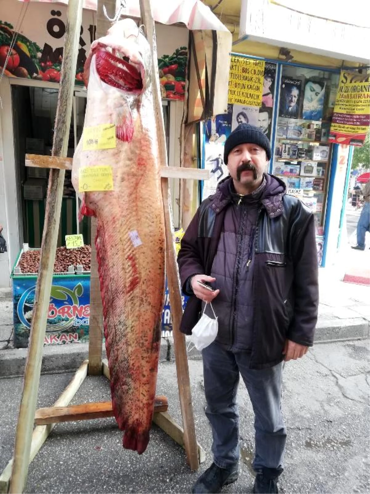 108 kiloluk yayın balığı, kilosu 50 liradan satışta