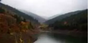 Doğu Karadeniz'in Abant'ı gölet, can suyu oldu