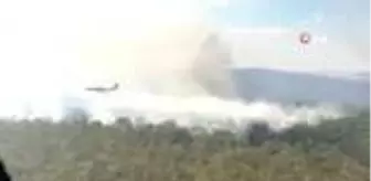 (MELBOURNE)- Avustralya'da Çıkan Orman Yangını Nedeniyle Yerleşim Yerleri Tahliye Ediliyor