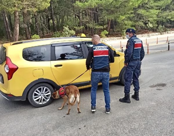 Son dakika haberleri: Muğla'da jandarmanın koronavirüs denetiminde ceza yağdı