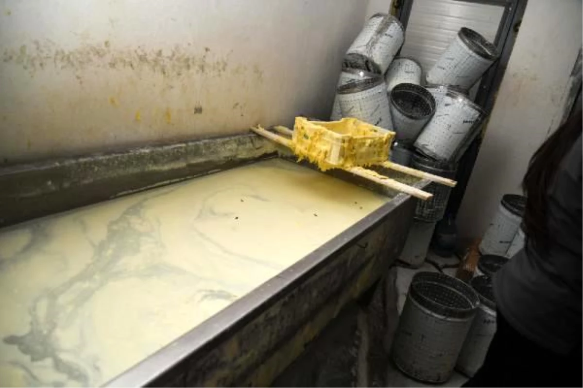 Sahte peynir üretimi yapan işletmenin görüntüleri ortaya çıktı
