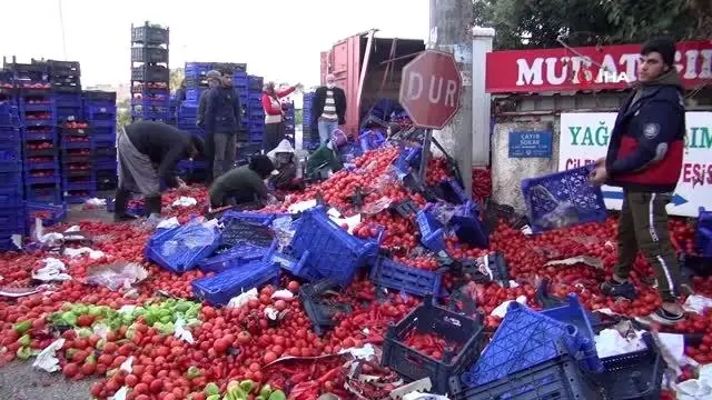 Sebze yüklü tır devrildi