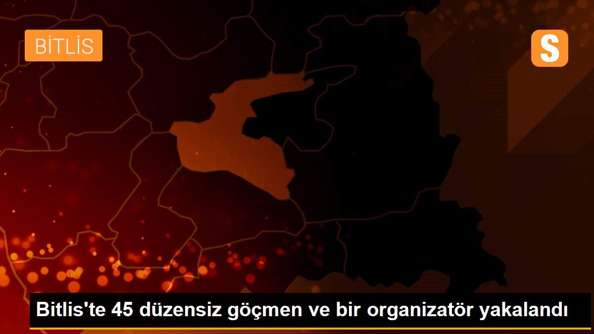 Bitlis\'te 45 düzensiz göçmen ve bir organizatör yakalandı