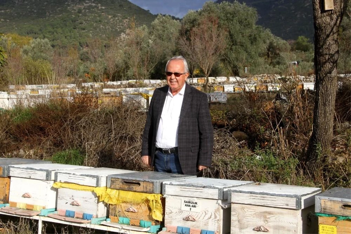 TAB Başkanı Şahin\'den "arı ürünleri uyarısı"
