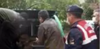 Son dakika haber: Yaralı yaban keçisi kurtarılıp tedaviye alındı