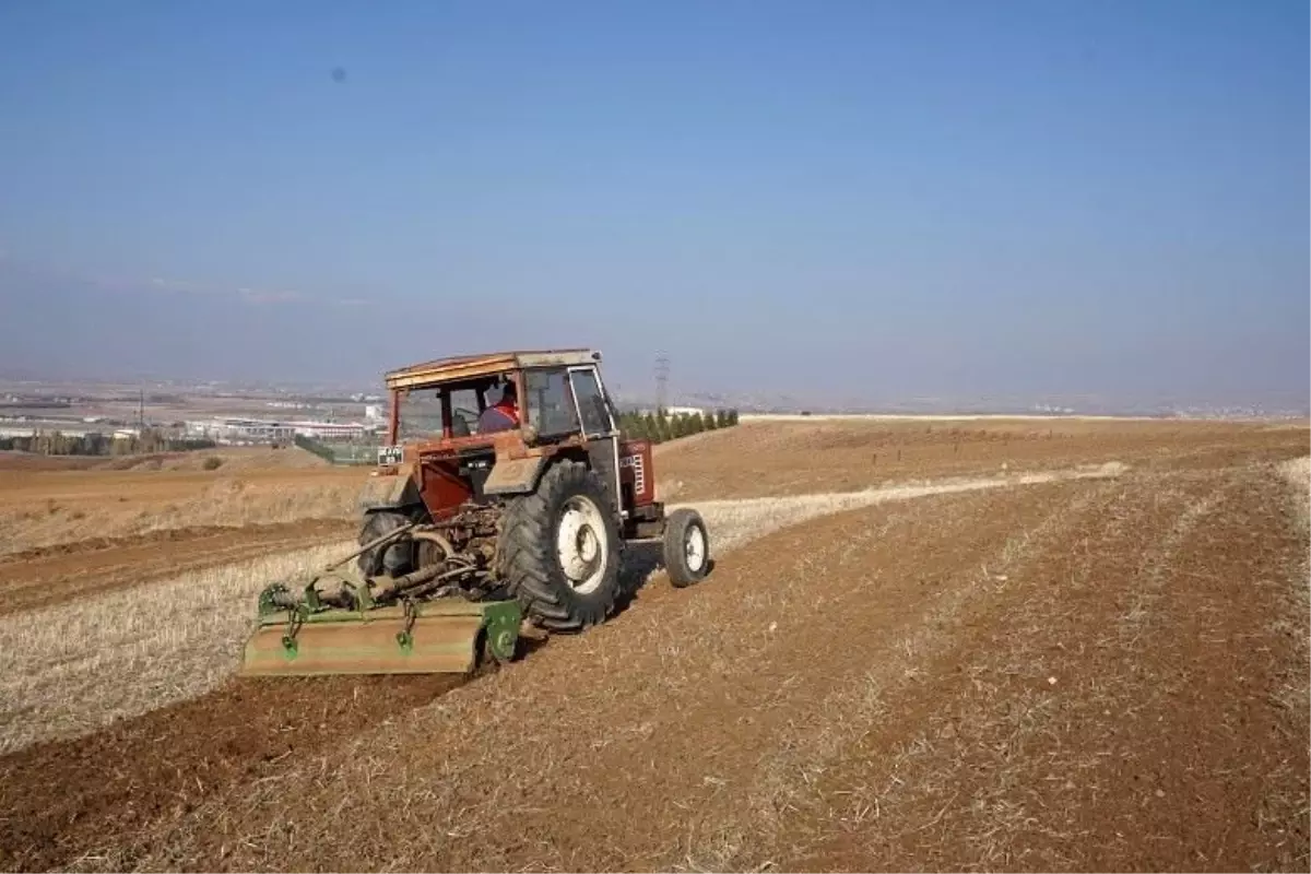 Akyurt\'a 25 dönümlük meyve bahçesi