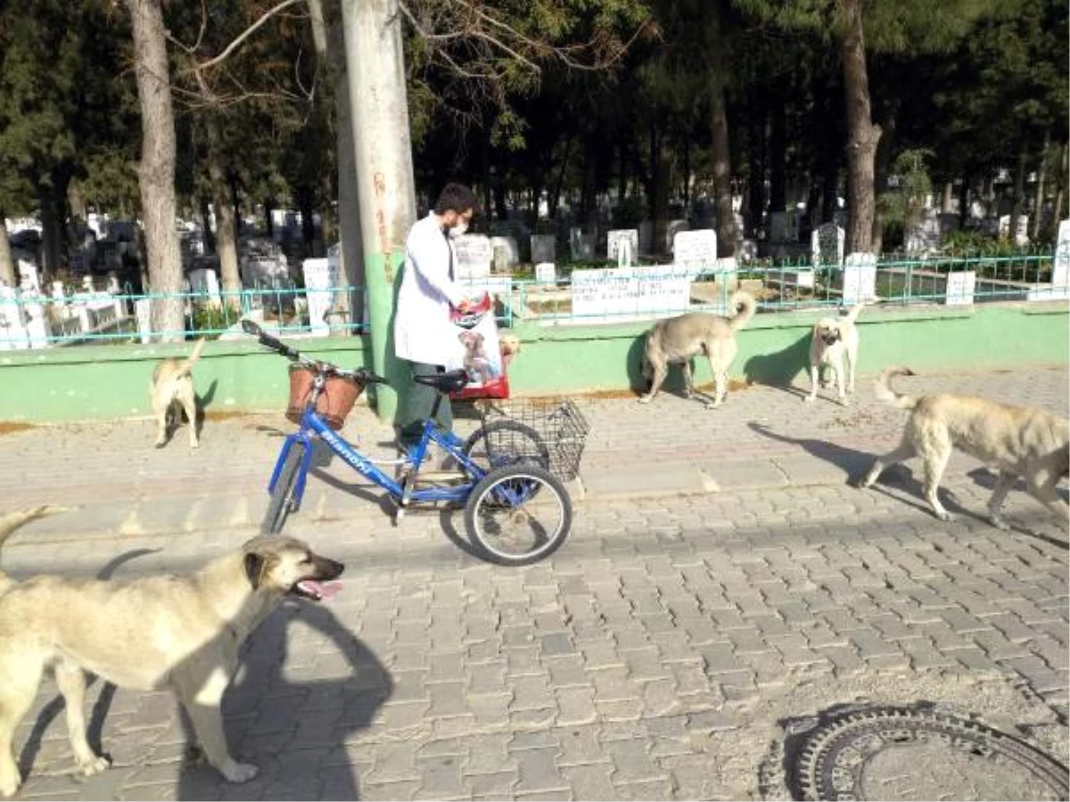 Bedensel engelli veteriner, hayvanları sağlıklarına kavuşturuyor