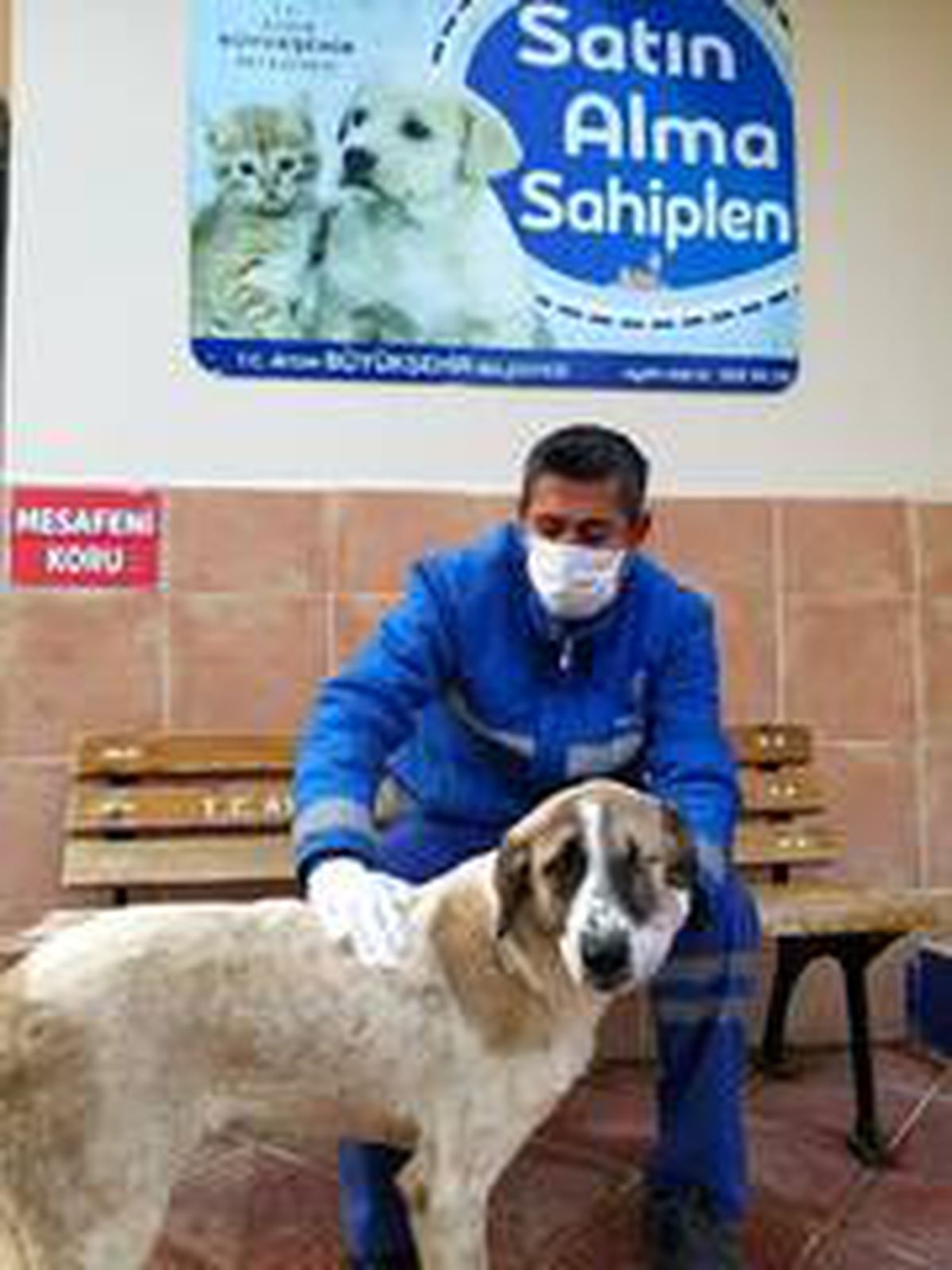 Görme engelli köpek, sıcak yuvasına kavuştu