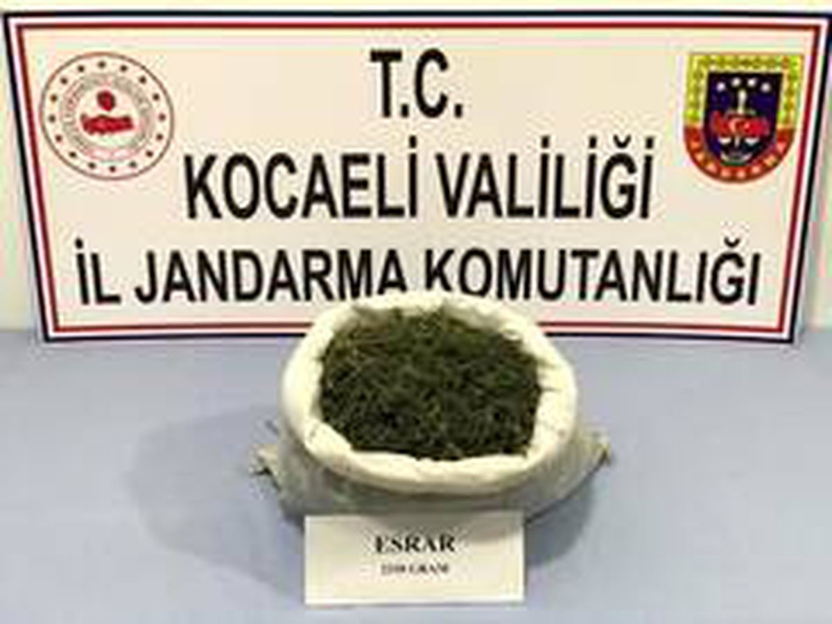 Kocaeli\'de ormanlık alana gizlenmiş 2 kilo 330 gram esrar ele geçirildi