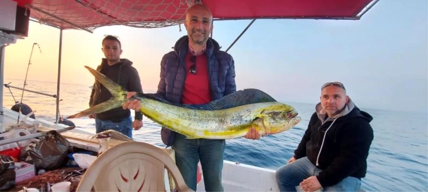 Kuşadası Körfezi\'nde 15 kiloluk lambuka balığı yakalandı