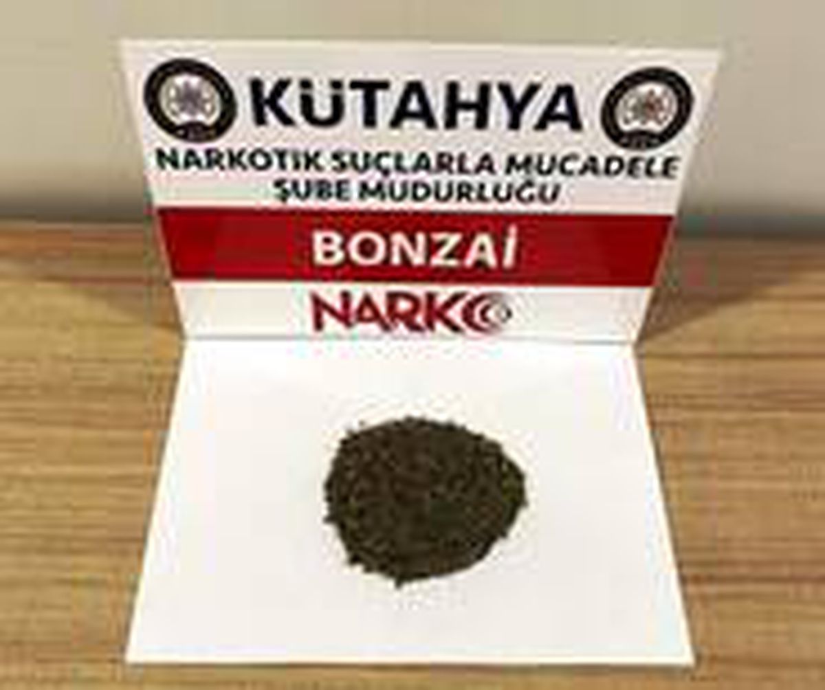 Kütahya\'da iki şüphelinin üzerinde bonzai ele geçirildi