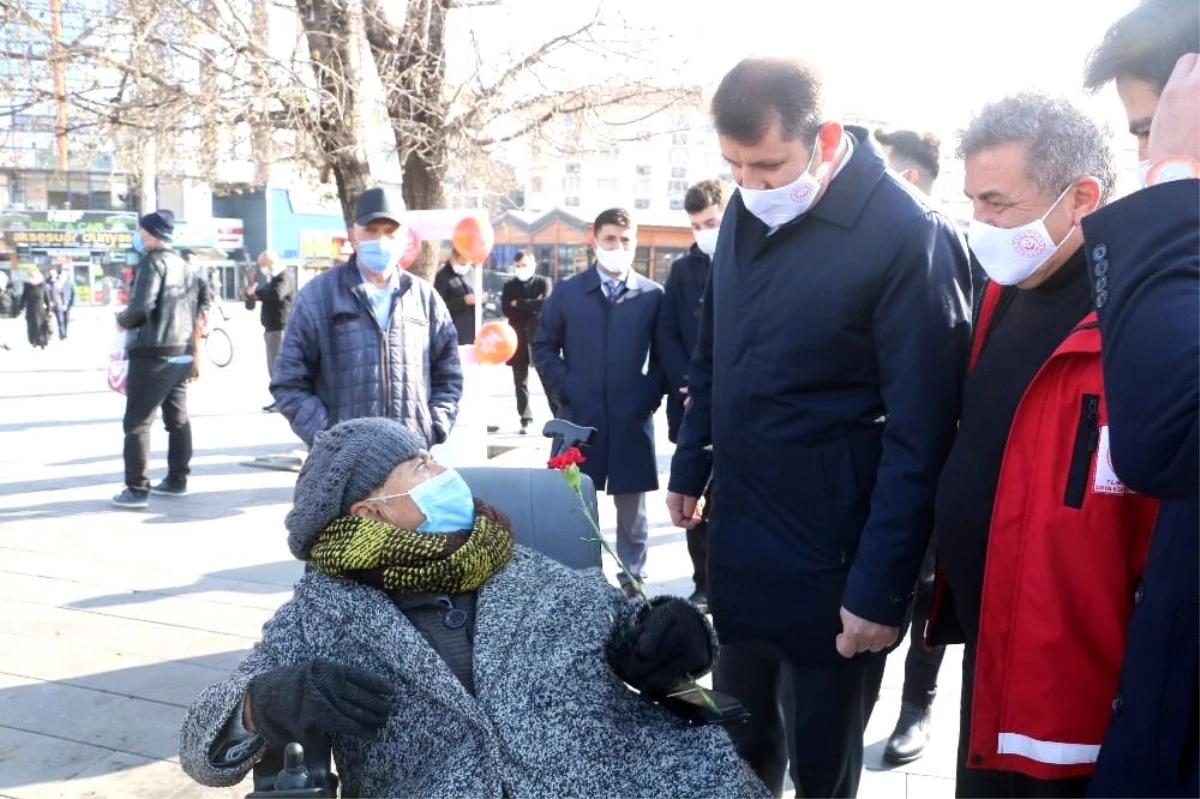 Ölen kedisi için 3 gün ağladı