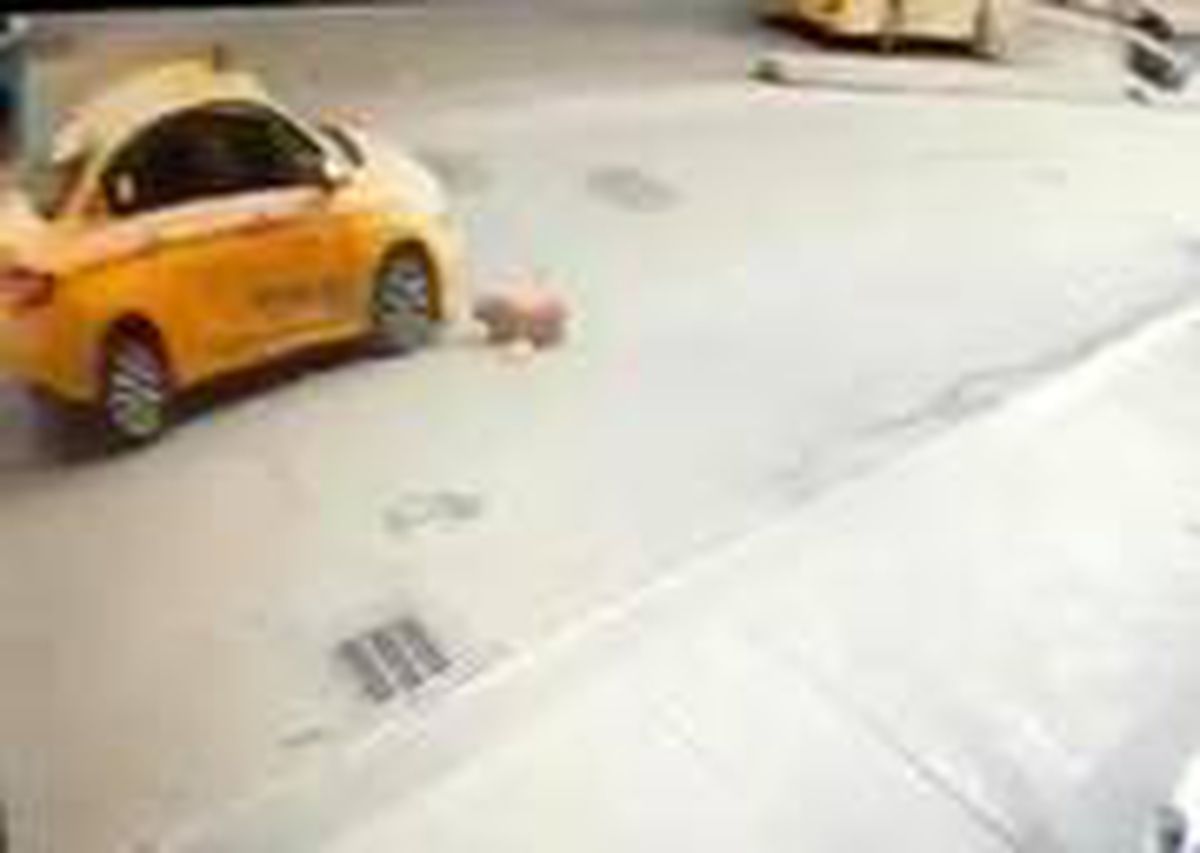 Pendik\'te köpeğe çarpan taksici kaçtı
